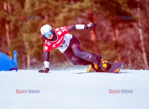 Puchar świata w snowboardzie w Krynicy