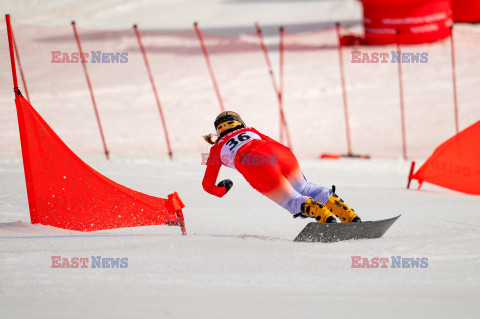 Puchar świata w snowboardzie w Krynicy