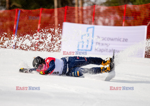 Puchar świata w snowboardzie w Krynicy