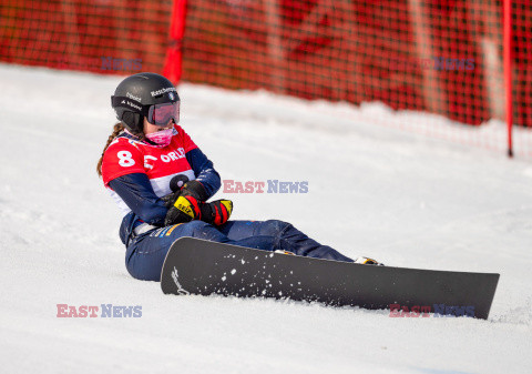 Puchar świata w snowboardzie w Krynicy