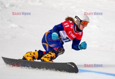 Puchar świata w snowboardzie w Krynicy