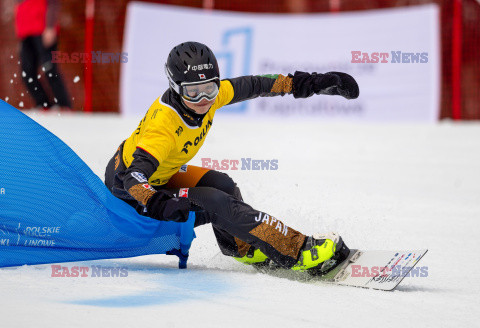 Puchar świata w snowboardzie w Krynicy