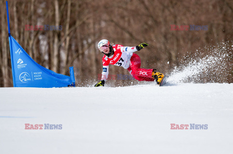 Puchar świata w snowboardzie w Krynicy