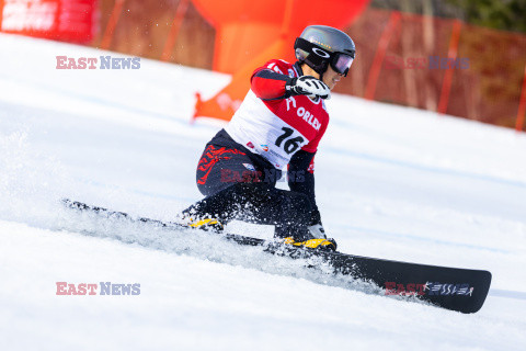 Puchar świata w snowboardzie w Krynicy