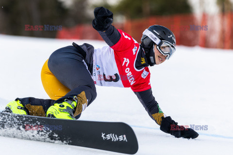 Puchar świata w snowboardzie w Krynicy