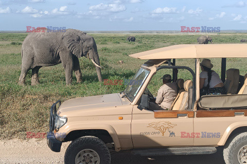 Kenia, Park Narodowy Amboseli