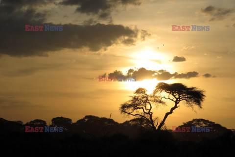 Kenia, Park Narodowy Amboseli