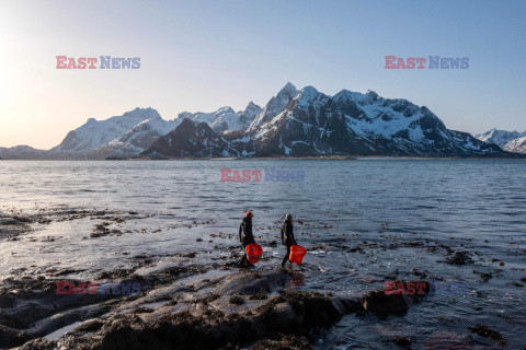 Farma wodorostów w norweskim Lofoten