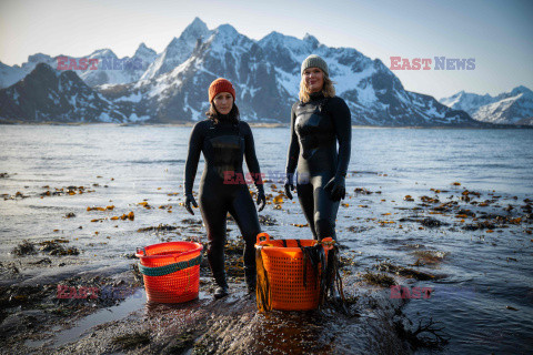 Farma wodorostów w norweskim Lofoten