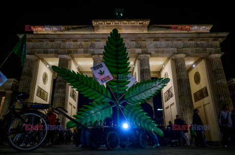 Niemcy legalizują posiadanie marihuany