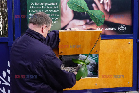 "Okno życia" dla roślin doniczkowych w Hamburgu