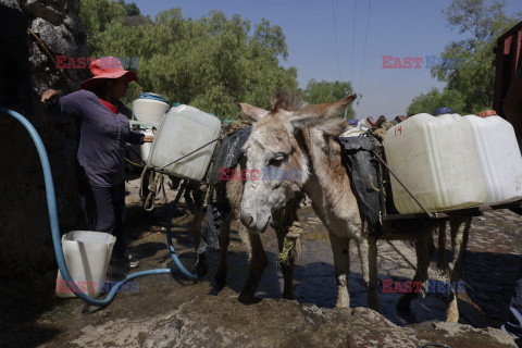 Transport wody na osłach w Meksyku