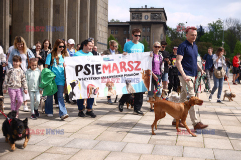 Psiemarsz z Łukaszem Gibałą w Krakowie