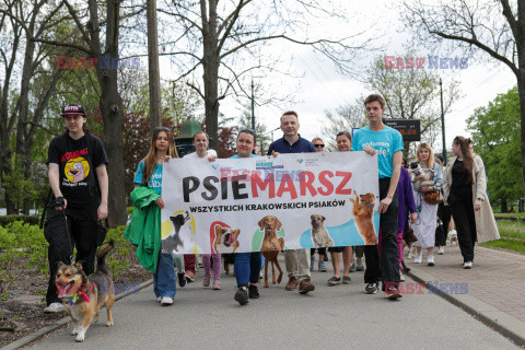 Psiemarsz z Łukaszem Gibałą w Krakowie