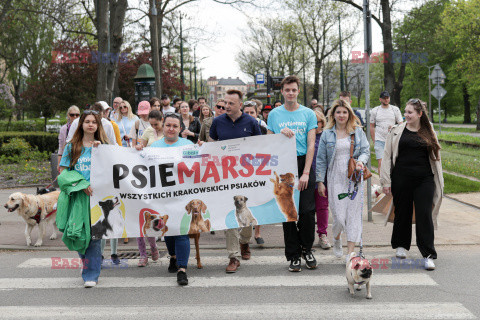 Psiemarsz z Łukaszem Gibałą w Krakowie