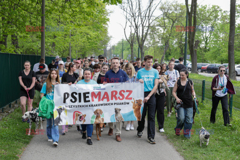 Psiemarsz z Łukaszem Gibałą w Krakowie