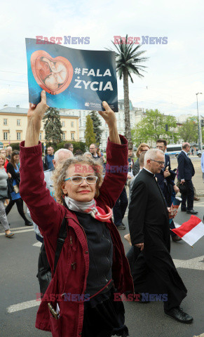 Narodowy Marsz Życia