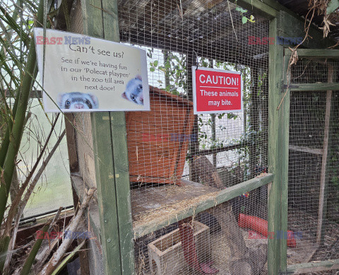 Opuszczone zoo