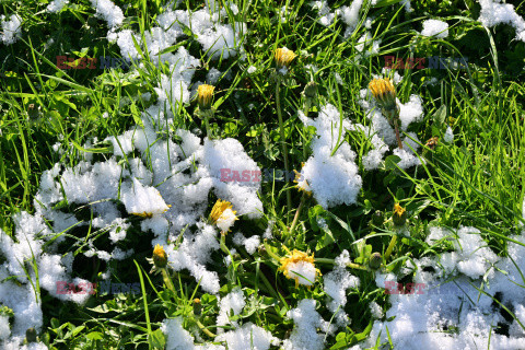 Zima na wiosnę w Zakopanem