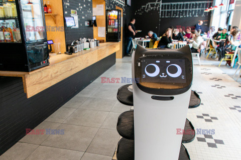 Robot-kelner w barze mlecznym