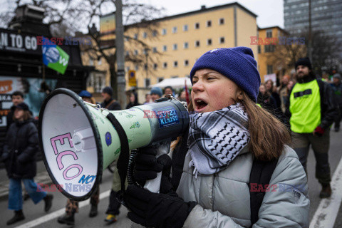 Greta Thunberg na strajku klimatycznym w Sztokholmie