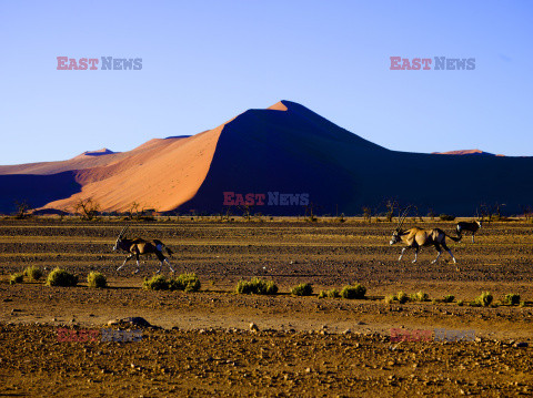 Dolina Sossusvlei w Namibii