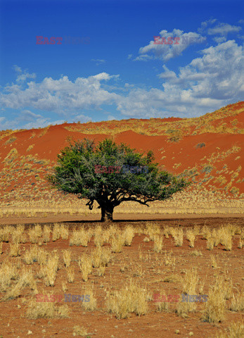 Dolina Sossusvlei w Namibii