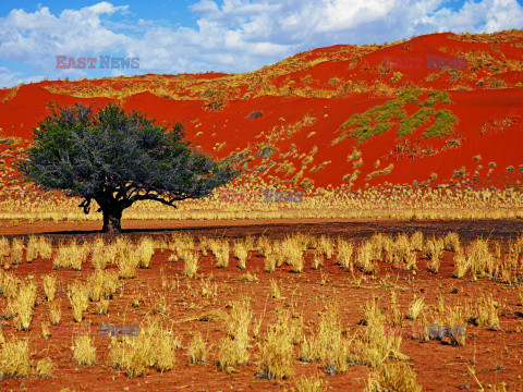 Dolina Sossusvlei w Namibii