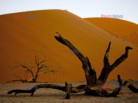 Dolina Sossusvlei w Namibii