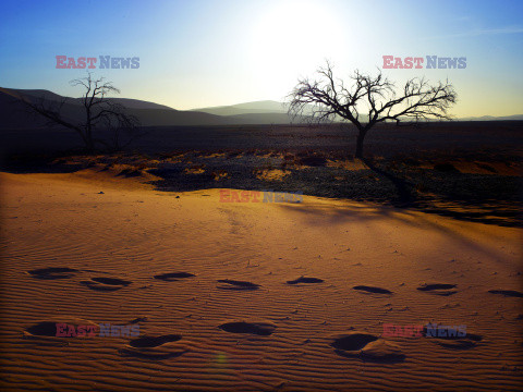 Dolina Sossusvlei w Namibii