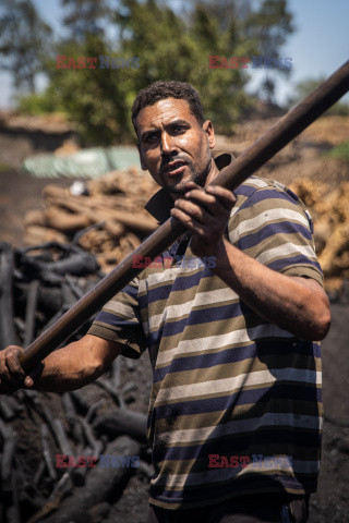 Wypalanie węgla drzewnego w Egipcie