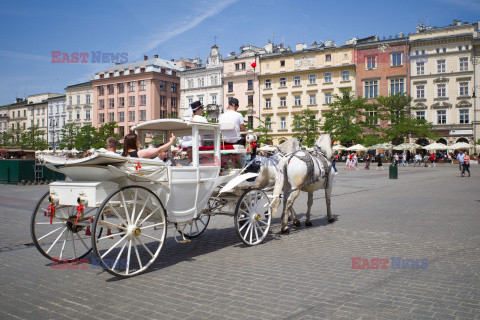 Polska Andrzej Zbraniecki