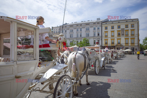 Polska Andrzej Zbraniecki