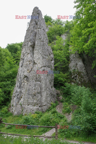 Polska Andrzej Zbraniecki