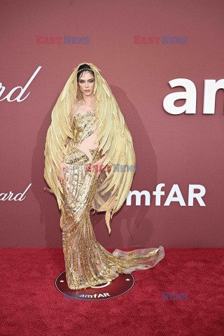 Cannes 2024 - amfAR Gala