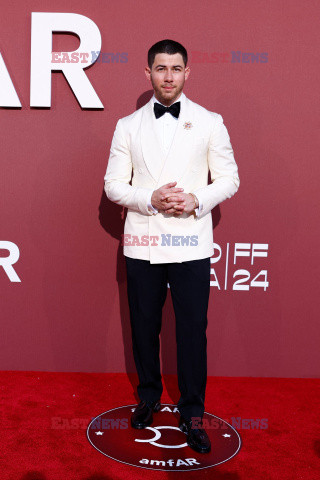 Cannes 2024 - amfAR Gala