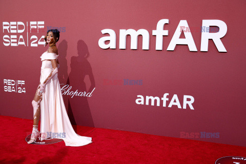 Cannes 2024 - amfAR Gala