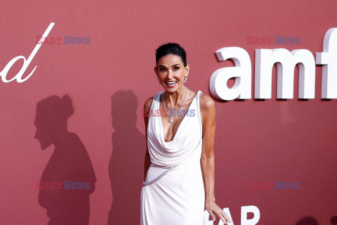 Cannes 2024 - amfAR Gala