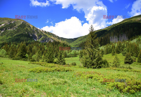 Polskie Tatry Albin Marciniak