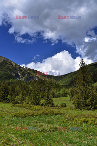 Polskie Tatry Albin Marciniak