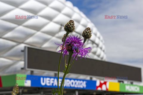 Przygotowania do Euro 2024