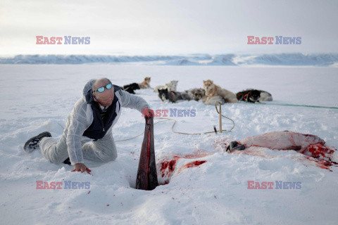 Ostatni inuiccy myśliwi - AFP