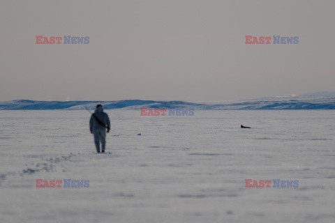 Ostatni inuiccy myśliwi - AFP