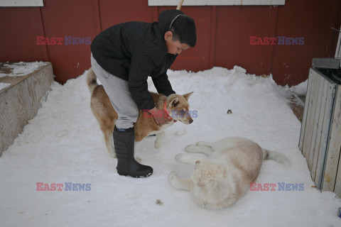 Ostatni inuiccy myśliwi - AFP