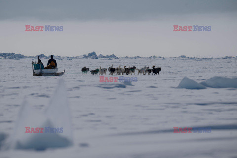 Ostatni inuiccy myśliwi - AFP