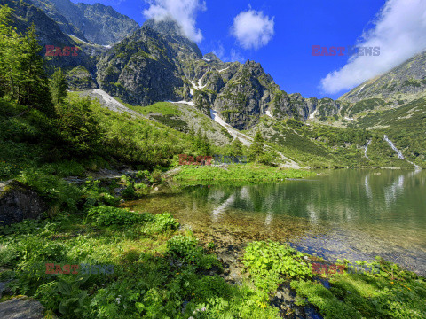 Polskie Tatry Albin Marciniak