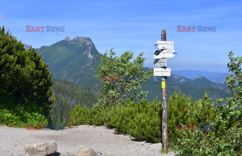 Polskie Tatry Albin Marciniak