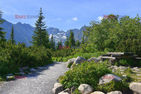 Polskie Tatry Albin Marciniak