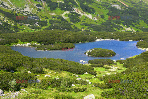 Polskie Tatry Albin Marciniak