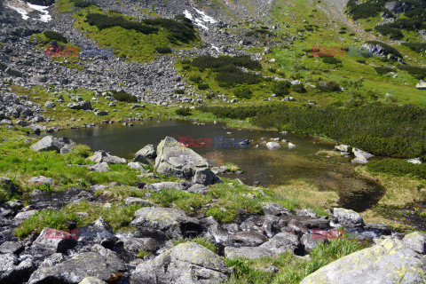 Polskie Tatry Albin Marciniak